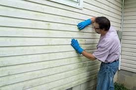 Affordable Siding Repair and Maintenance Services in Harmony Grove, CA